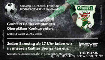 Großbardorfer Grabfeld Gallier sind nach zwei Siegen heiß auf den nächsten Dreier – Lokale Nachrichten aus Stadt und Landkreis Schweinfurt - inUNDumSCHWEINFURT_DE