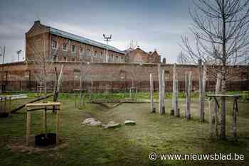 Man klautert zes meter hoog, mogelijk om drugs over gevangenismuur te gooien