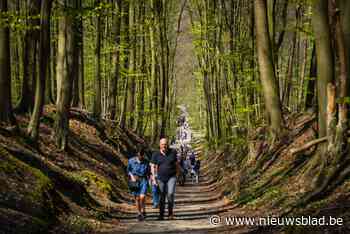 Telt onze provincie binnenkort twee nationale parken? “Zowel op Vlaams als Europees vlak vind je hier topnatuur”