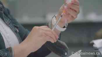 Health policy expert reacts to new 4th wave COVID-19 measures