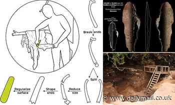 Humans may have started making clothes 120,000 years ago, scientists say