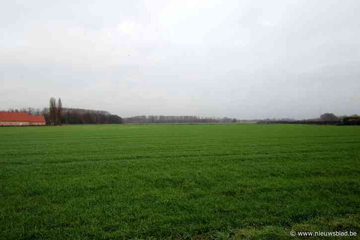 Boechoutenaren denken mee over klimaatactieplan