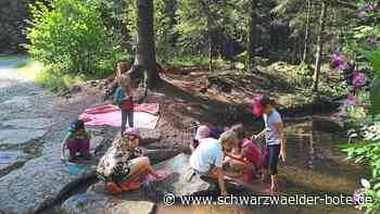 Ferienprogramm Wildberg: Alle Flöße bestehen Schwimmtest