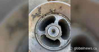 Zebra mussels intercepted by Saskatchewan Environment near Manitoba border