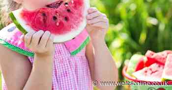 Why children should be encouraged to play with their food - Wales Online