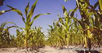 Only one in 10 food companies committed to health and sustainability, report claims - The Grocer