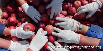 The Coming Food Fight - Project Syndicate