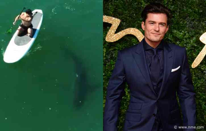 Watch Orlando Bloom paddleboarding with a great white shark