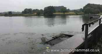 Elderly woman rushed to hospital after 'stranger pushed her into Sutton Park pool' - Birmingham Live