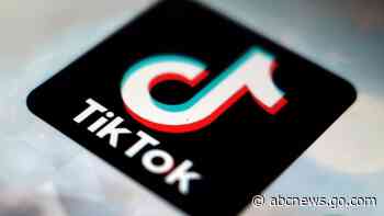 Ireland investigates TikTok over child, China data concerns