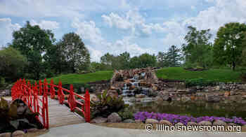 Pearson: New Position With Forest Preserve 'Great Combination' Of Strengths And Passions - Illinois Newsroom