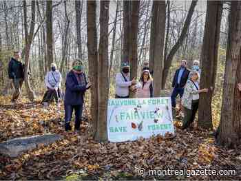 Lussier wants preservation of Fairview Forest to be an election issue - Montreal Gazette