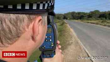 New Forest animal deaths: Motorists targeted in speed crackdown - BBC News