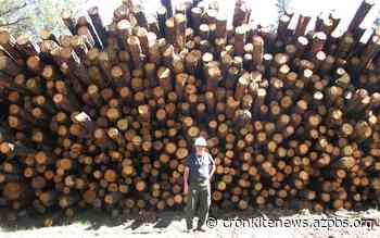 Forest Service plan to extend forest maintenance program is put on hold - Cronkite News