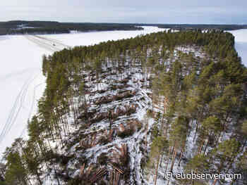 EU diplomats oppose common forest-monitoring rules - EUobserver