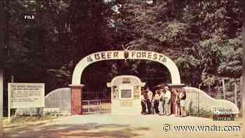 'Deer Forest' up for auction - WNDU-TV