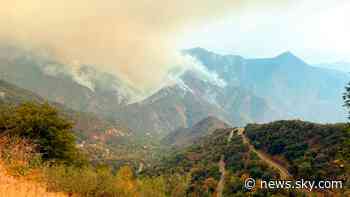 Wildfire threatens famous California sequoia forest - Sky News