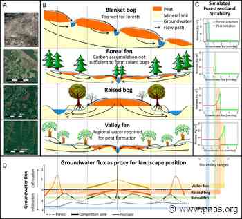 Emerging forest–peatland bistability and resilience of European peatland carbon stores - pnas.org