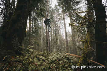 Photo Story: Alex Volokhov Builds in the BC Coastal Forest for 'Svoboda' - Pinkbike.com