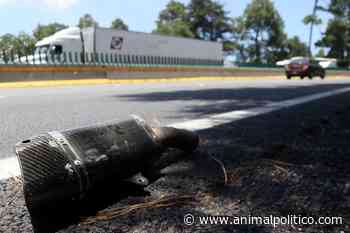 Autoridades identifican a 6 personas fallecidas en accidente de la carretera México-Cuernavaca; una era menor de edad - Animal Político