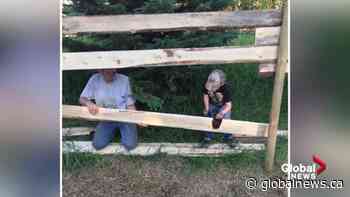 Tips on how to raise independent children