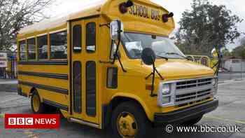 US man files $1m lawsuit after Michigan teacher cuts child's hair