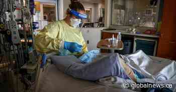 Alberta seeing 18-20 COVID-19 ICU admissions a day: AHS