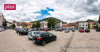 Erfolgreicher Kampf für eine Brache in Heppenheim - Echo Online