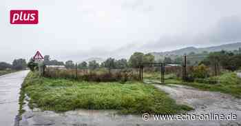 Heppenheim: Grünes Licht für die Hundewiese - Echo Online