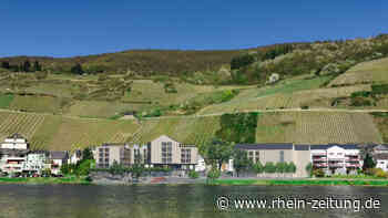 Uferumbau Zell: Jetzt geht's ans Eingemachte - Kreis Cochem-Zell - Rhein-Zeitung