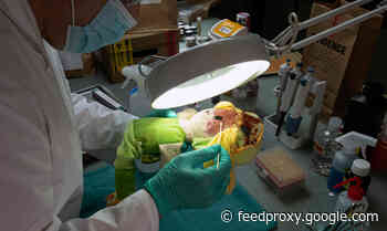 How Indirect DNA Transfer Is Challenging Forensics and Overturning Wrongful Convictions