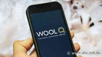 Australian Wool Innovation preparing to commercialise WoolQ online market platform
