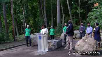 Rochester's Washington Grove inducted into Old Growth Forest Network