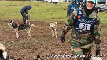 Tote Schlittenhunde in Dobel - So erlebte die Halterin den traumatischen Tag - Schwarzwälder Bote