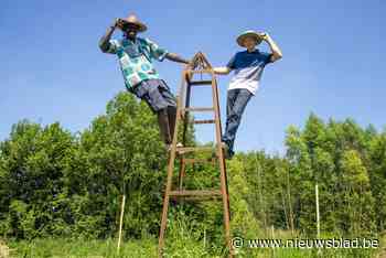 Neem een kijkje achter de schermen bij vier Pajotse bedrijven op de Dag van de Landbouw