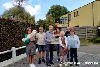 Buurt kruipt in de pen voor kapel die verdween na aanrijding: “We blijven na al die jaren hopen dat er een nieuwe komt”