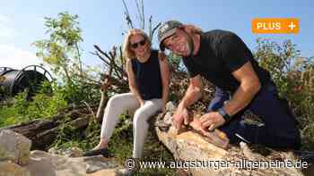 LEW und Siedler setzen sich für Wildtiere und Blühwiesen in Augsburg ein - Augsburger Allgemeine