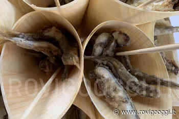 Torna il pesce fresco a tavola, stop a fermo in Adriatico - RovigoOggi.it