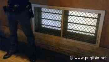 Omicidio di Anna Lucia Lupelli, c'è un fermo con gravi indizi di colpevolezza - Puglia In