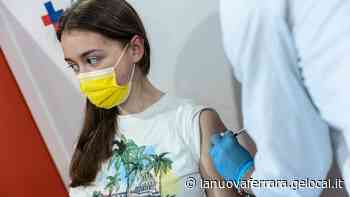 Vaccini in farmacia, a Ferrara ancora tutto fermo - La Nuova Ferrara