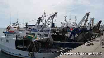 Finisce il fermo biologico, tornano in mare nella notte i pescherecci termolesi - Primonumero