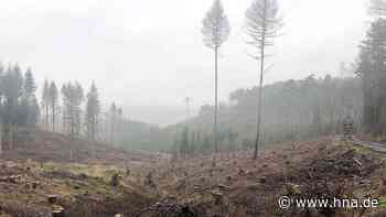 Pläne für den Naturpark - HNA.de