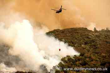California forest fires threaten world's largest trees - Dudley News