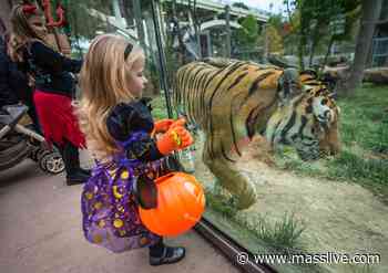 Stone Zoo, Franklin Park Zoo allowing trick-or-treating with animals for Halloween - MassLive.com