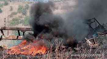 Ardea, vasto incendio in un'area boschiva: ore di intervento per spegnerlo - Il Faro online