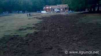 Il Prato delle Macinaie devastato dai cinghiali: la disperazione degli imprenditori - IlGiunco.net - IlGiunco.net