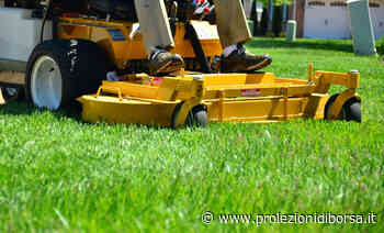 Pochi sanno che questo è il periodo perfetto per seminare un prato da far invidia - Proiezioni di Borsa