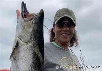 Curious catch: King salmon boated off Presque Isle in Lake Erie