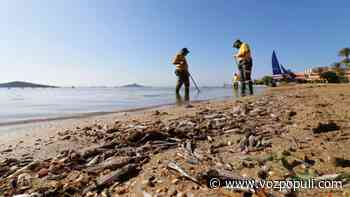 El PP aporta un acta notarial para desmontar las "mentiras" de Sánchez con el Mar Menor - Vozpópuli
