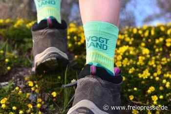 Beliebte Socke wird neu aufgelegt - Freie Presse